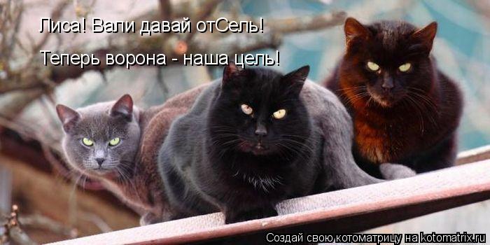 Лиса! Вали давай отСель! Теперь ворона - наша цель!... Котоматрица: Лиса! Вали давай отСель! Теперь ворона - наша цель!
