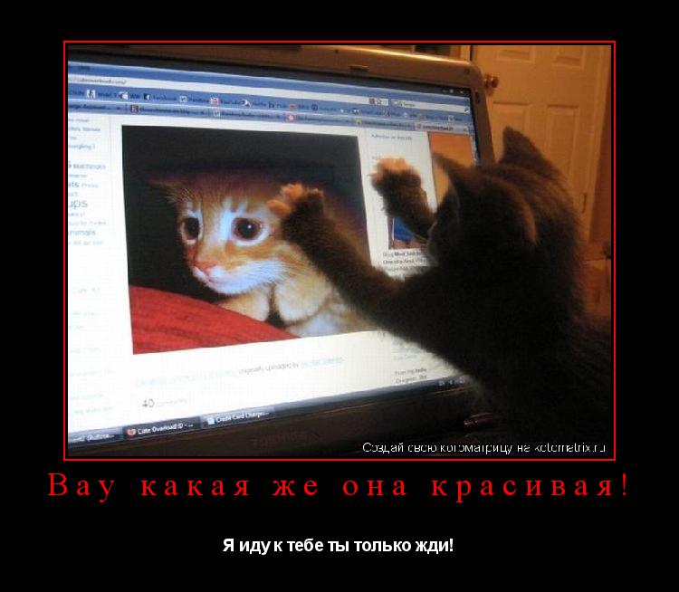 Вау какая же она красивая! Я иду к тебе ты только жди!... Котоматрица: Вау какая же она красивая! Я иду к тебе ты только жди!