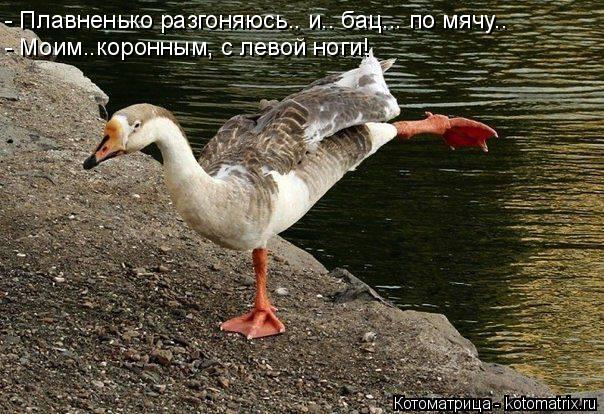 - Моим..коронным, с левой ноги! - Плавненько разгоняюсь.. и.. бац... по мячу..... Котоматрица: - Моим..коронным, с левой ноги! - Плавненько разгоняюсь.. и.. бац... по мячу..