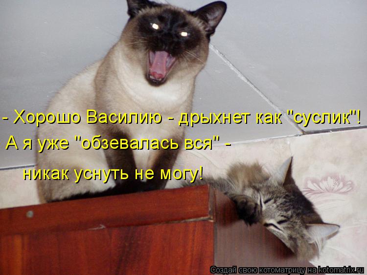 - Хорошо Василию - дрыхнет как "суслик"! А я уже "обзевалась вся" - никак уснуть не могу!... Котоматрица: - Хорошо Василию - дрыхнет как "суслик"! А я уже "обзевалась вся" - никак уснуть не могу!