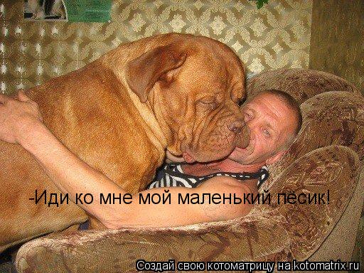 -Иди ко мне мой маленький пёсик!... Котоматрица: -Иди ко мне мой маленький пёсик!