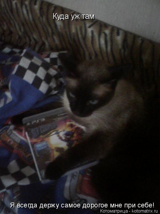Котоматрица: Куда уж там Я всегда держу самое дорогое мне при себе!