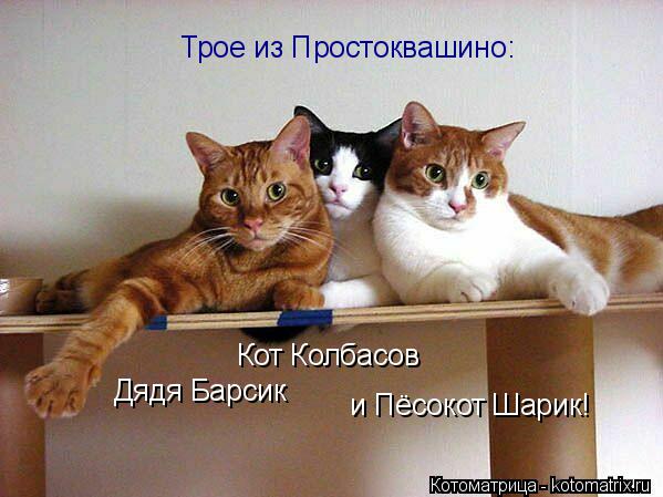 Трое из Простоквашино: Дядя Барсик Кот Колбасов и Пёсокот Шарик!... Котоматрица: Трое из Простоквашино: Дядя Барсик Кот Колбасов и Пёсокот Шарик!