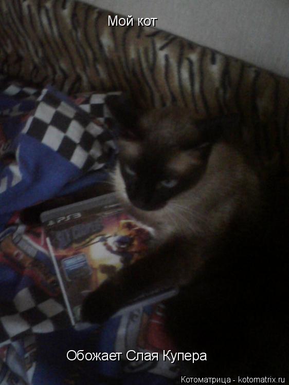 Мой кот Обожает Слая Купера... Котоматрица: Мой кот Обожает Слая Купера