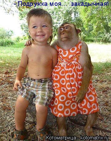 - Подружка моя... закадычная!... Котоматрица: - Подружка моя... закадычная!