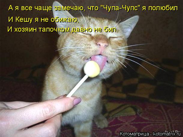 А я все чаще замечаю, что "Чупа-Чупс" я полюбил И Кешу я не обижаю, И хозяин тапочком давно не бил.... Котоматрица: А я все чаще замечаю, что "Чупа-Чупс" я полюбил И Кешу я не обижаю, И хозяин тапочком давно не бил.