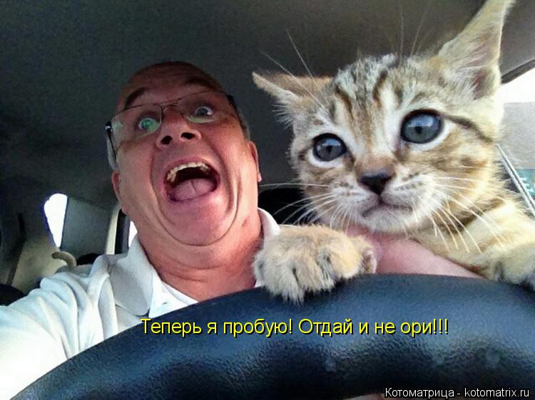 Теперь я пробую! Отдай и не ори!!!... Котоматрица: Теперь я пробую! Отдай и не ори!!!