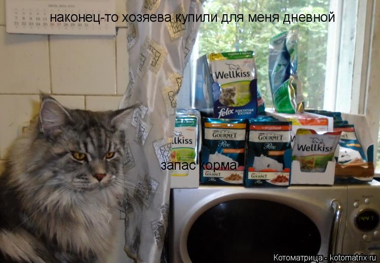 наконец-то хозяева купили для меня дневной запас корма... Котоматрица: наконец-то хозяева купили для меня дневной запас корма