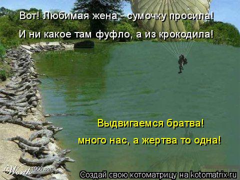 Котоматрица: Вот! Любимая жена - сумочку просила! И ни какое там фуфло, а из крокодила!  Выдвигаемся братва! много нас, а жертва то одна!