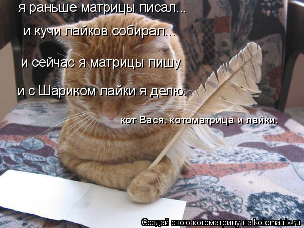 Котоматрица: я раньше матрицы писал... и кучи лайков собирал... и сейчас я матрицы пишу и с Шариком лайки я делю. кот Вася. котоматрица и лайки.