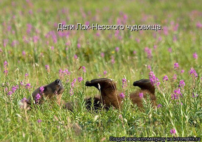 Дети Лох-Несского чудовища.... Котоматрица: Дети Лох-Несского чудовища.