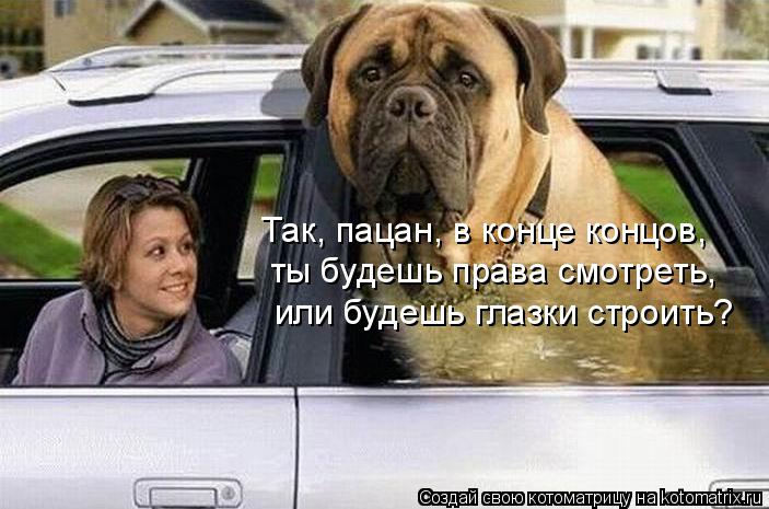 Так, пацан, в конце концов, ты будешь права смотреть, или будешь глазки строить?... Котоматрица: Так, пацан, в конце концов, ты будешь права смотреть, или будешь глазки строить?