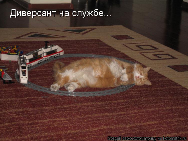Диверсант на службе...... Котоматрица: Диверсант на службе...