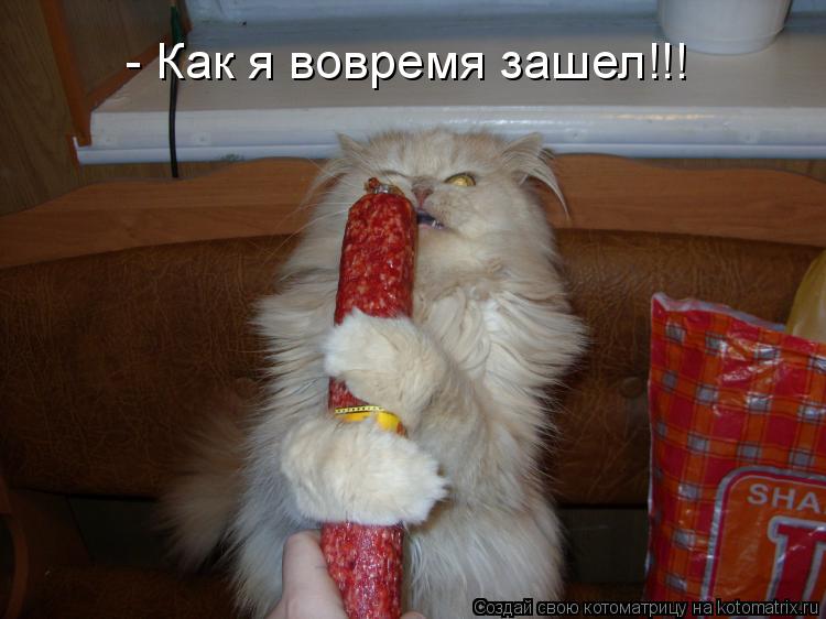 Котоматрица: - Как я вовремя зашел!!!