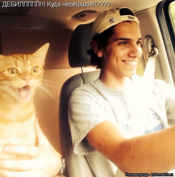 ДЕБИЛЛЛЛЛ!!! Куда несёшшся!!???? ДЕБИЛЛЛЛЛ!!! Куда несёшшся!!????... Котоматрица: ДЕБИЛЛЛЛЛ!!! Куда несёшшся!!???? ДЕБИЛЛЛЛЛ!!! Куда несёшшся!!????