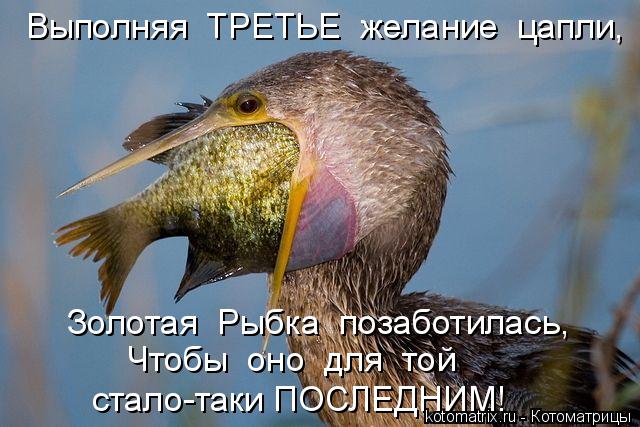 Выполняя ТРЕТЬЕ желание цапли, Чтобы оно для той стало-таки ПОСЛЕДНИМ! Золотая Рыбка позабот... Котоматрица: Выполняя ТРЕТЬЕ желание цапли, Чтобы оно для той стало-таки ПОСЛЕДНИМ! Золотая Рыбка позаботилась,