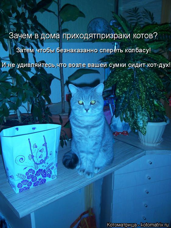 Зачем в дома приходятпризраки котов? Затем чтобы безнаказанно спереть колбасу! И не удивляйтесь,что в... Котоматрица: Зачем в дома приходятпризраки котов? Затем чтобы безнаказанно спереть колбасу! И не удивляйтесь,что возле вашей сумки сидит кот-дух!