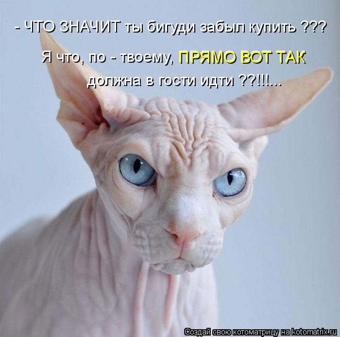 - ЧТО ЗНАЧИТ ты бигуди забыл купить ??? должна в гости идти ??!!!... Я что, по - твоему, ПРЯМО ВОТ Т... Котоматрица: - ЧТО ЗНАЧИТ ты бигуди забыл купить ??? должна в гости идти ??!!!... Я что, по - твоему, ПРЯМО ВОТ ТАК ПРЯМО ВОТ ТАК