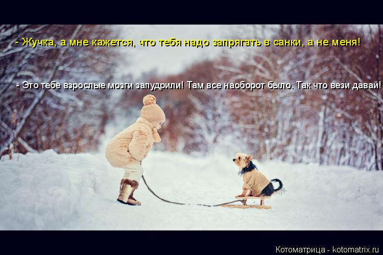 - Жучка, а мне кажется, что тебя надо запрягать в санки, а не меня! - Это тебе взрослые мозги запудр... Котоматрица: - Жучка, а мне кажется, что тебя надо запрягать в санки, а не меня! - Это тебе взрослые мозги запудрили! Там все наоборот было. Так что вези дав