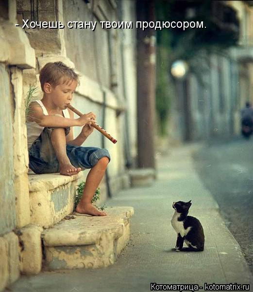 - Хочешь стану твоим продюсором.... Котоматрица: - Хочешь стану твоим продюсором.