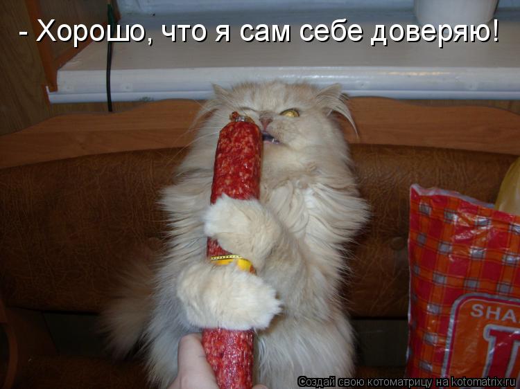 Котоматрица: - Хорошо, что я сам себе доверяю!