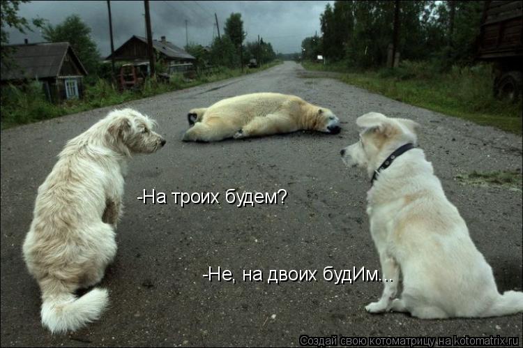 -На троих будем? -Не, на двоих будИм...... Котоматрица: -На троих будем? -Не, на двоих будИм...