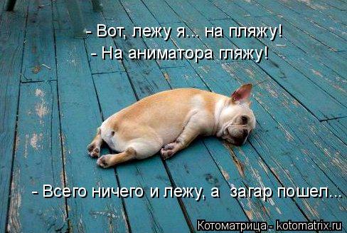 - Вот, лежу я... на пляжу! - На аниматора гляжу! - - Всего ничего и лежу, а загар пошел...... Котоматрица: - Вот, лежу я... на пляжу! - На аниматора гляжу! - - Всего ничего и лежу, а загар пошел...