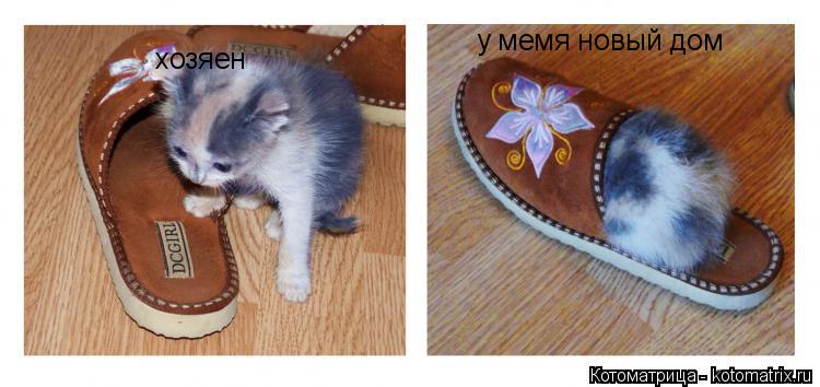 хозяен у мемя новый дом... Котоматрица: хозяен у мемя новый дом