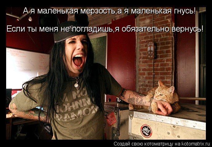 Котоматрица: А я маленькая мерзость,а я маленькая гнусь! Если ты меня не погладишь,я обязательно вернусь!