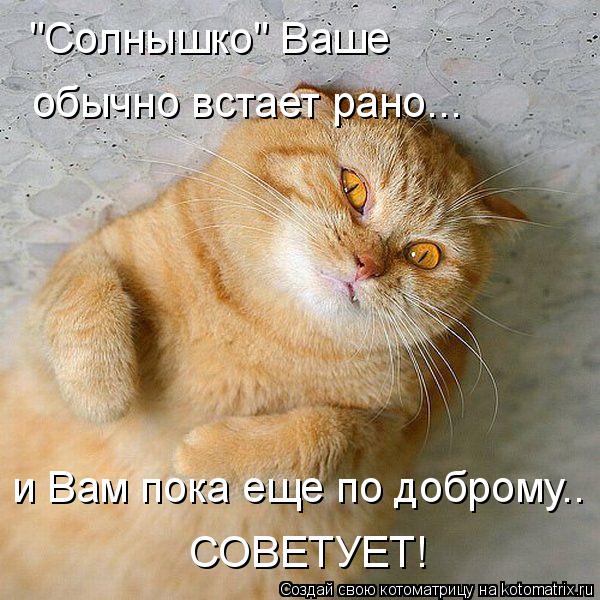 Котоматрица: "Солнышко" Ваше  обычно встает рано...  и Вам пока еще по доброму.. СОВЕТУЕТ!