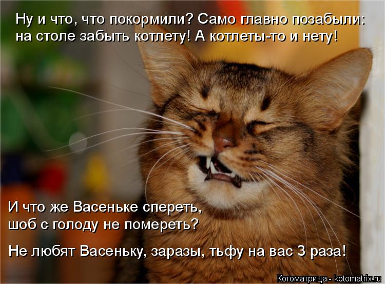 Ну и что, что покормили? Само главно позабыли: на столе забыть котлету! А котлеты-то и нету! И что же... Котоматрица: Ну и что, что покормили? Само главно позабыли: на столе забыть котлету! А котлеты-то и нету! И что же Васеньке спереть, шоб с голоду не померет