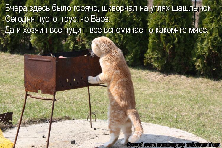 Вчера здесь было горячо, шкворчал на углях шашлычок. Сегодня пусто, грустно Васе. Да и хозяин всё нуд... Котоматрица: Вчера здесь было горячо, шкворчал на углях шашлычок. Сегодня пусто, грустно Васе. Да и хозяин всё нудит, всё вспоминает о каком-то мясе...