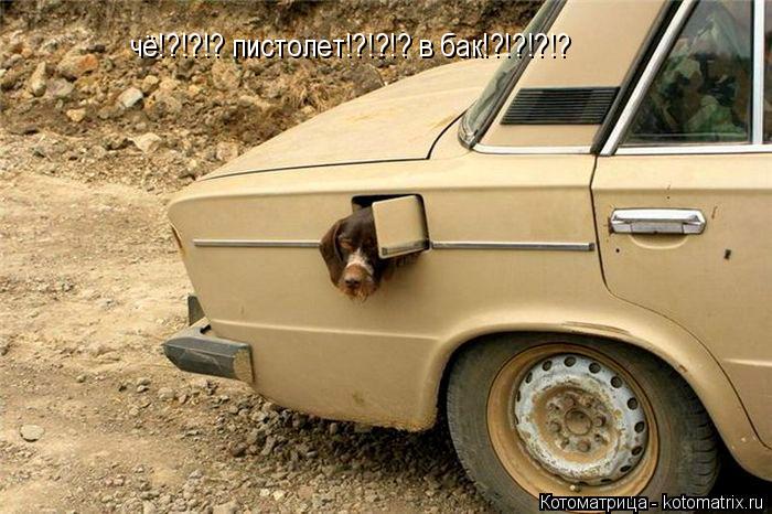Котоматрица: чё!?!?!? пистолет!?!?!? в бак!?!?!?!?