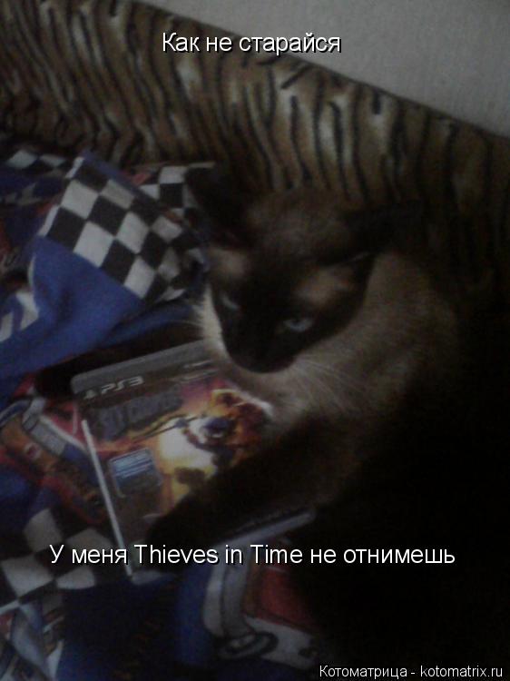 Как не старайся У меня Thieves in Time не отнимешь... Котоматрица: Как не старайся У меня Thieves in Time не отнимешь