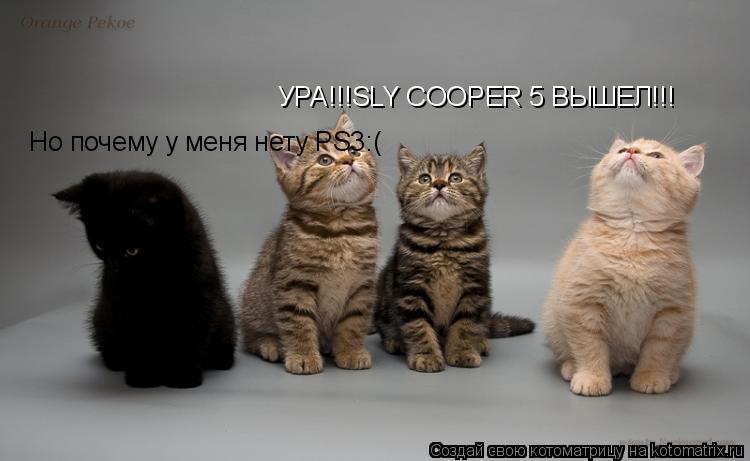 Котоматрица: УРА!!!SLY COOPER 5 ВЫШЕЛ!!! Но почему у меня нету PS3:(