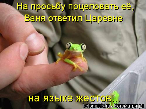Котоматрица: Ваня ответил Царевне на языке жестов... На просьбу поцеловать её,