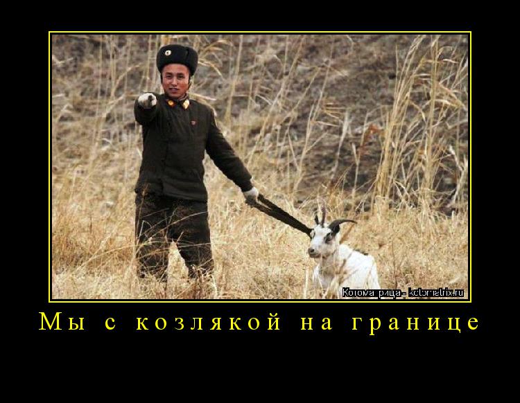 Котоматрица: Мы с козлякой на границе 