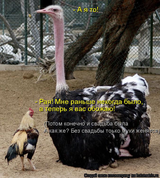 Котоматрица: - Рая! Мне раньше некогда было, а теперь я вас обожаю! - А я то! (Потом конечно и свадьба была А как же? Без свадьбы тоько мухи женятся)