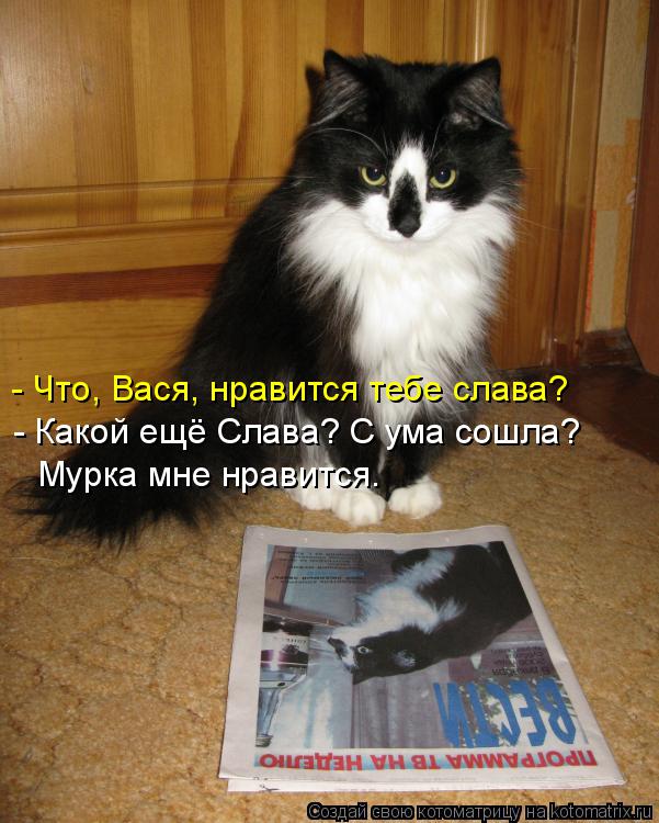 - Что, Вася, нравится тебе слава? - Какой ещё Слава? С ума сошла? Мурка мне нравится.... Котоматрица: - Что, Вася, нравится тебе слава? - Какой ещё Слава? С ума сошла? Мурка мне нравится.