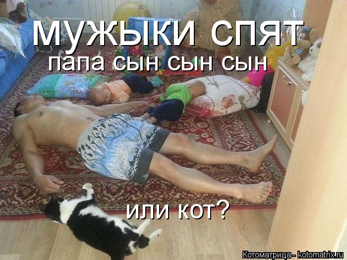 мужыки спят папа сын сын сын или кот?... Котоматрица: мужыки спят папа сын сын сын или кот?