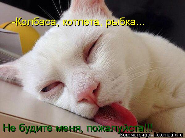 Котоматрица: -Колбаса, котлета, рыбка...  Не будите меня, пожалуйста!!!