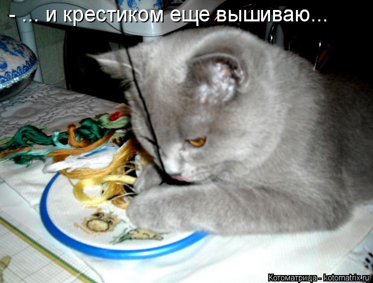 Котоматрица: - ... и крестиком еще вышиваю...