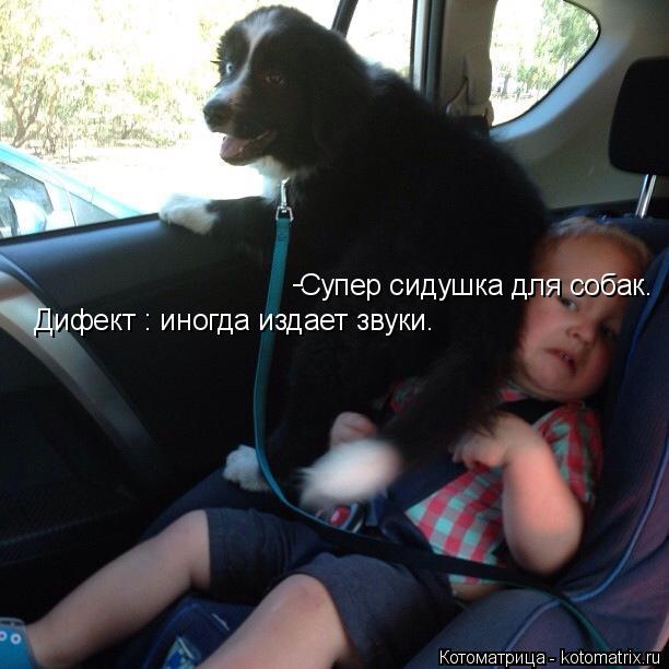 Котоматрица: Супер сидушка для собак.                                       Дифект : иногда издает звуки.  Дифект : иногда издает звуки.  -