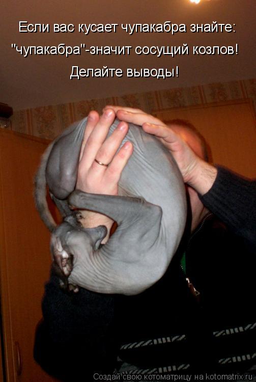 Котоматрица: Если вас кусает чупакабра знайте: "чупакабра"-значит сосущий козлов! Делайте выводы!