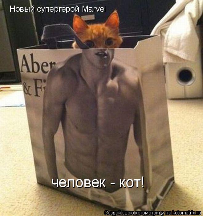 Котоматрица: Новый супергерой Marvel человек - кот!