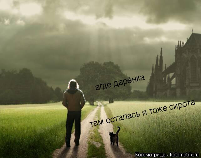 Котоматрица: агде дарёнка там осталась я тоже сирота там осталась я тоже сирота