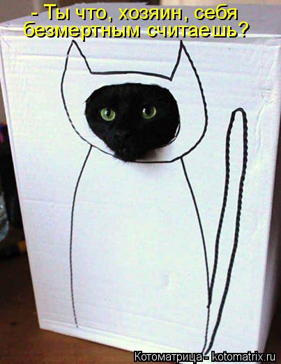Котоматрица: безмертным считаешь? - Ты что, хозяин, себя