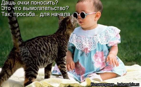 Котоматрица: Дашь очки поносить? Так, просьба.. для начала Это что вымогательство?