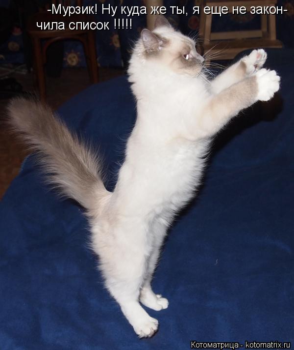Котоматрица: -Мурзик! Ну куда же ты, я еще не закон-   чила список   чила список !!!!!