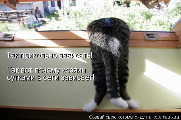 Котоматрица: Так вот почему хозяин  сутками в сети зависает! Так прикольно зависать!